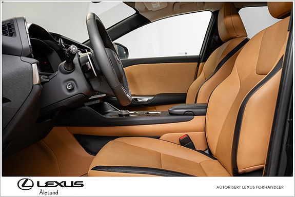Lexus RZ450e 15 of 30