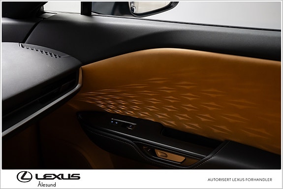 Lexus RZ450e 14 of 30