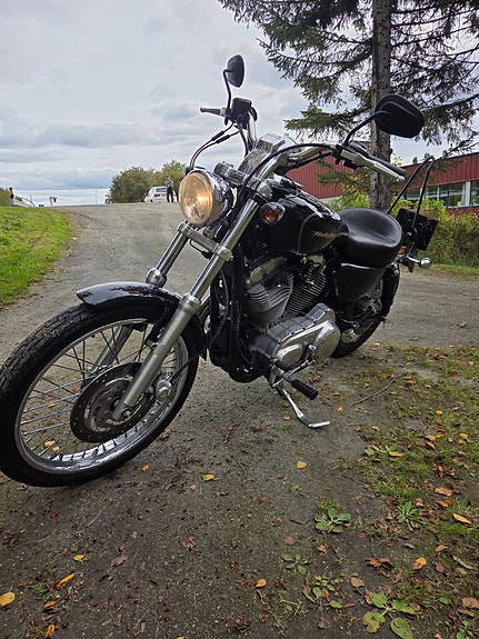Harley-Davidson XL 883C Custom 7 of 8