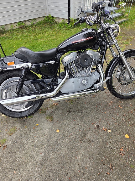 Harley-Davidson XL 883C Custom 5 of 8
