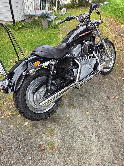 Harley-Davidson XL 883C Custom 4 of 8