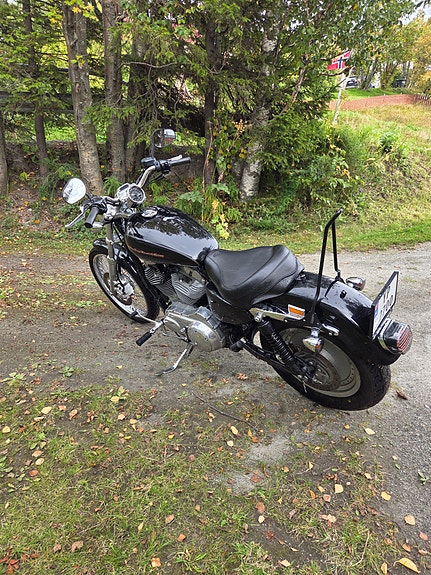 Harley-Davidson XL 883C Custom 6 of 8