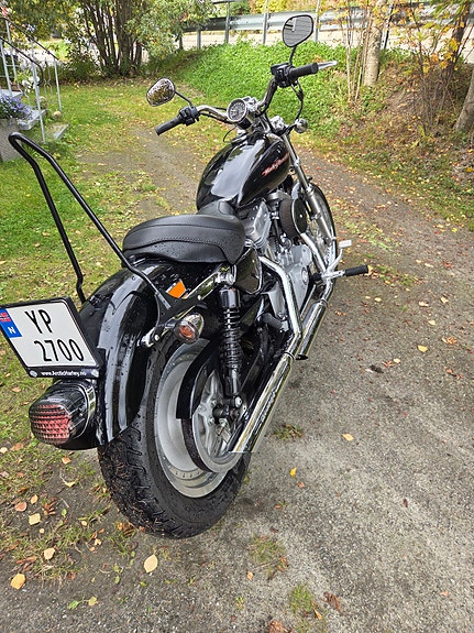Harley-Davidson XL 883C Custom 3 of 8