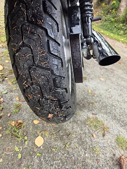 Harley-Davidson XL 883C Custom 8 of 8