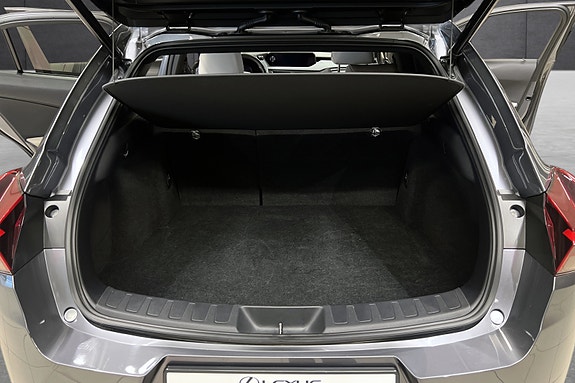 Lexus UX300e 19 of 22