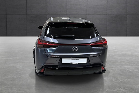 Lexus UX300e 4 of 22
