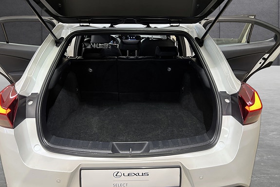 Lexus UX300e 18 of 22