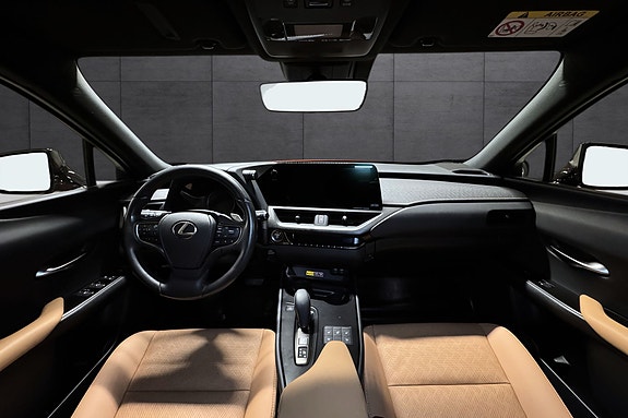 Lexus UX300e 9 of 24