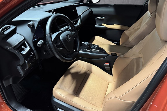 Lexus UX300e 10 of 24