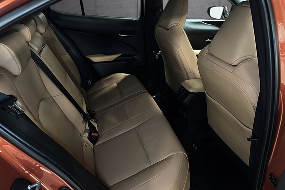 Lexus UX300e 13 of 24