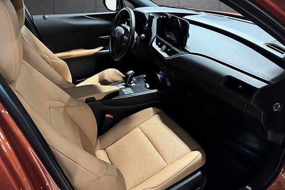Lexus UX300e 11 of 24