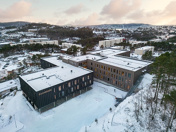 Bilde fra arbeidsgiver