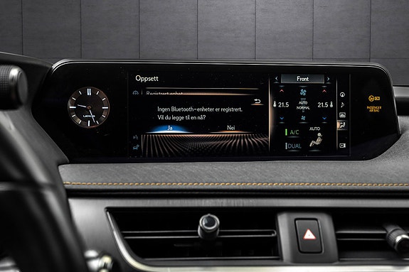 Lexus UX250h 25 of 28