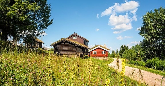 Bilde 1 av 1 i jobbannonse-galleriet