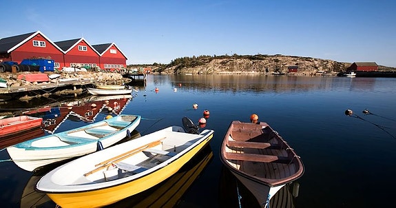 Bilde 1 av 1 i jobbannonse-galleriet