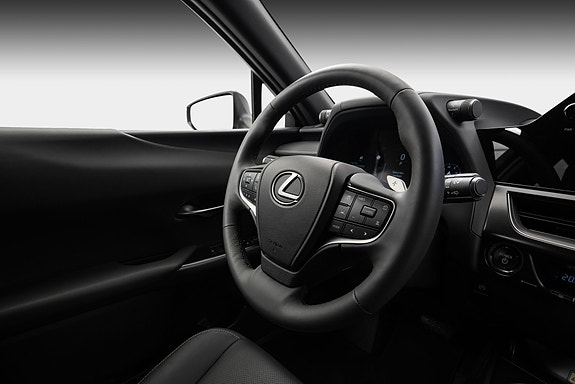 Lexus UX300e 14 of 25