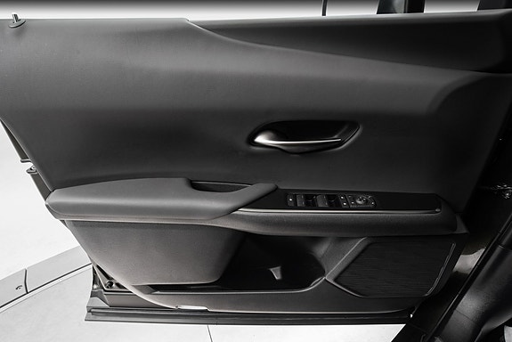 Lexus UX300e 21 of 25