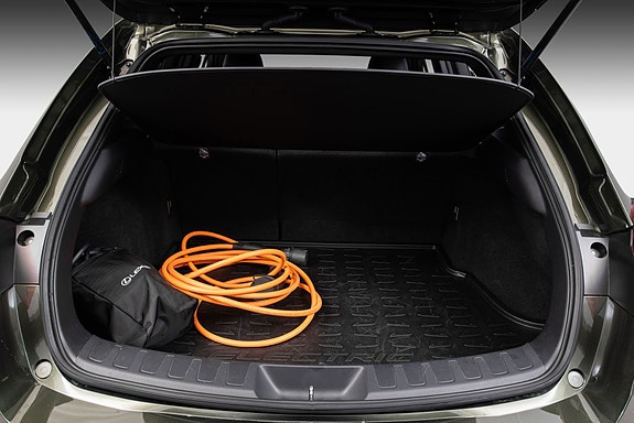 Lexus UX300e 23 of 25