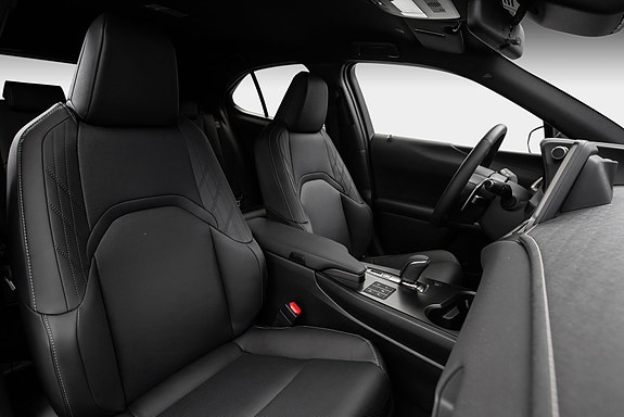 Lexus UX300e 18 of 25