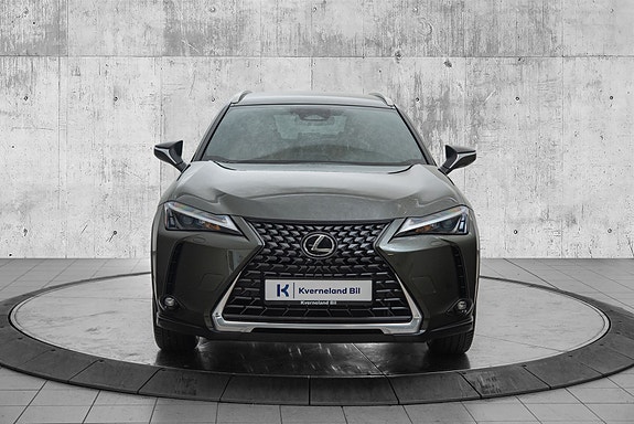 Lexus UX300e 8 of 23