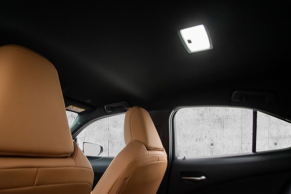 Lexus UX300e 19 of 23