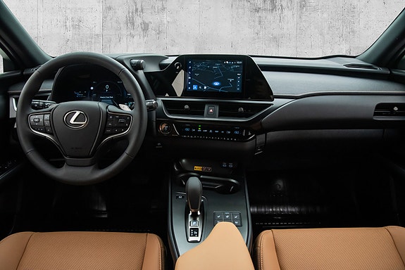 Lexus UX300e 16 of 23