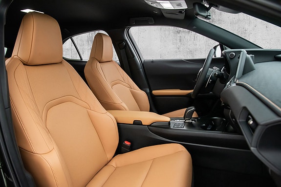 Lexus UX300e 22 of 23