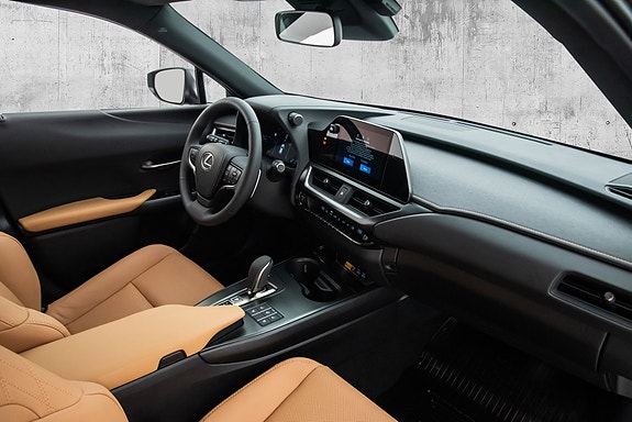 Lexus UX300e 18 of 23