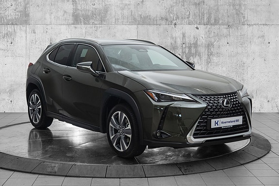 Lexus UX300e 7 of 23