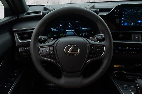 Lexus UX300e 17 of 23