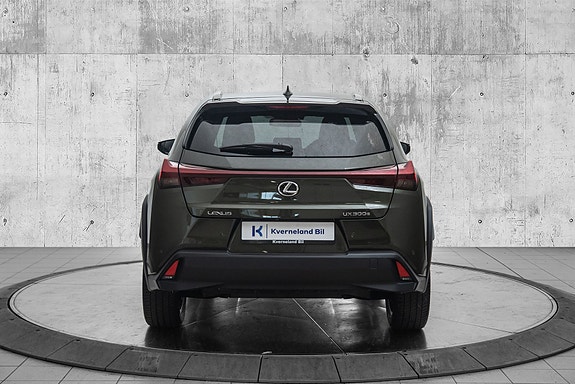 Lexus UX300e 4 of 23