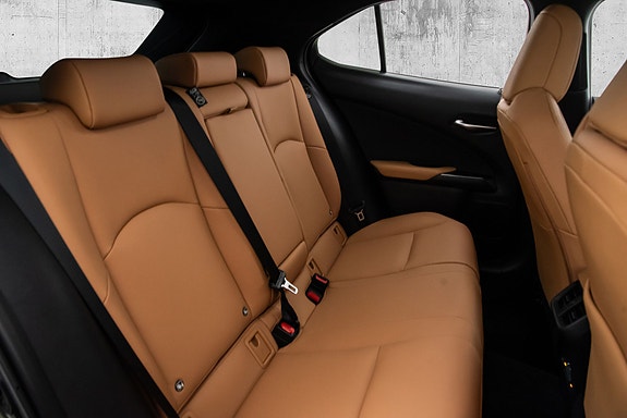 Lexus UX300e 21 of 23