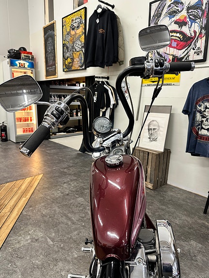 Harley-Davidson XL 883 Sportster 7 of 12