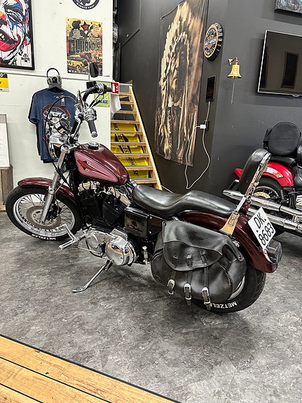Harley-Davidson XL 883 Sportster 4 of 12