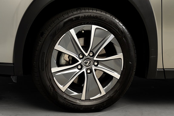 Lexus UX300e 11 of 30