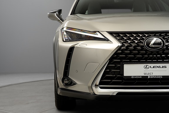 Lexus UX300e 9 of 30