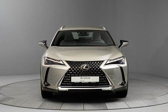 Lexus UX300e 6 of 30