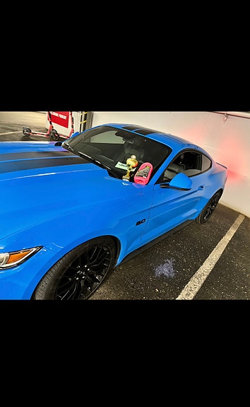 Ford Mustang 16 of 16