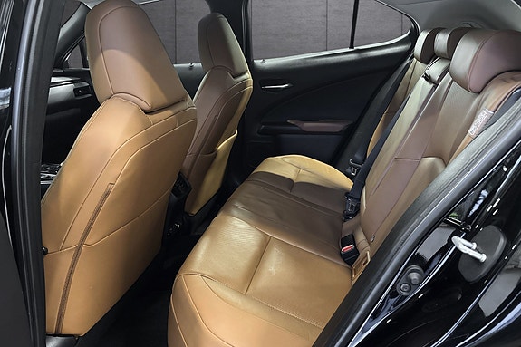 Lexus UX300e 16 of 27