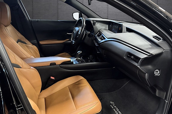Lexus UX300e 15 of 27