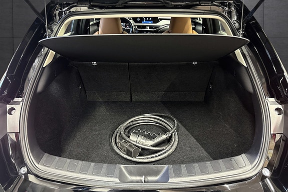 Lexus UX300e 18 of 27