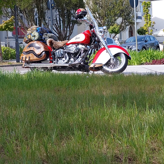 INDIAN Chief 21 of 21