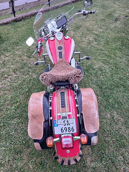INDIAN Chief 8 of 21