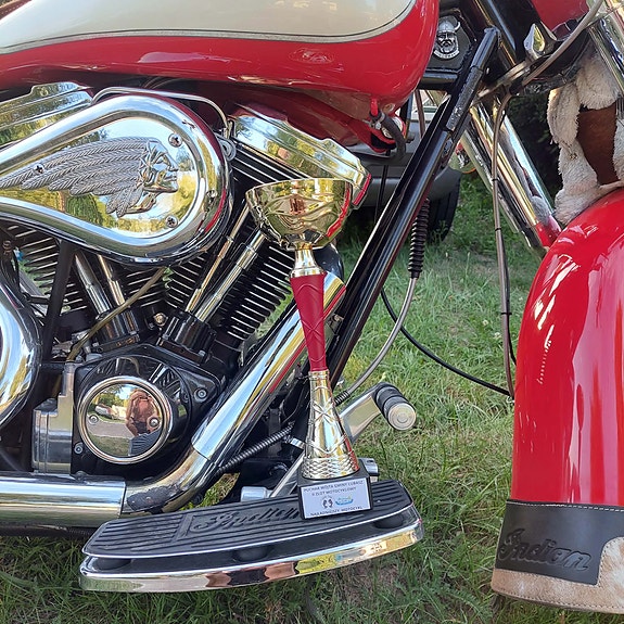 INDIAN Chief 17 of 21
