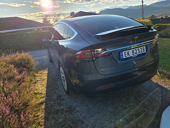 Tesla Model X 10 of 30