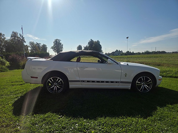 Ford Mustang 2 of 19
