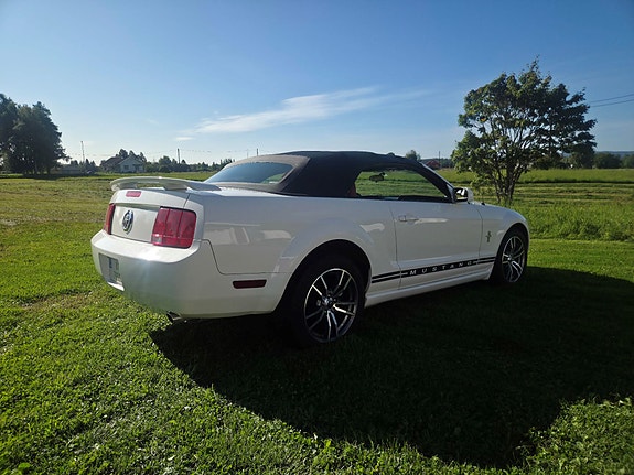 Ford Mustang 6 of 19