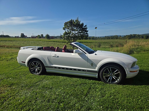 Ford Mustang 7 of 19