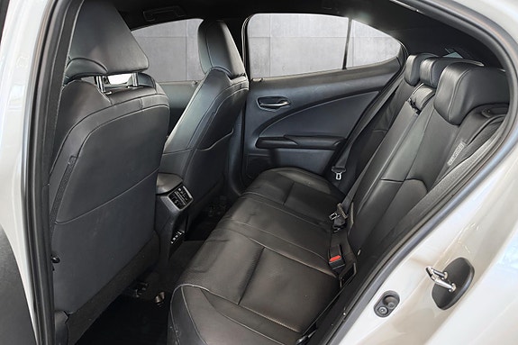 Lexus UX300e 20 of 25