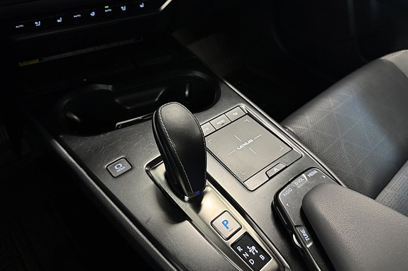 Lexus UX300e 19 of 25